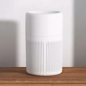 whole house air purifier, air purifier with aromatherapy, odour remover, negative ion air purifier, negative ion generator, home hepa filter